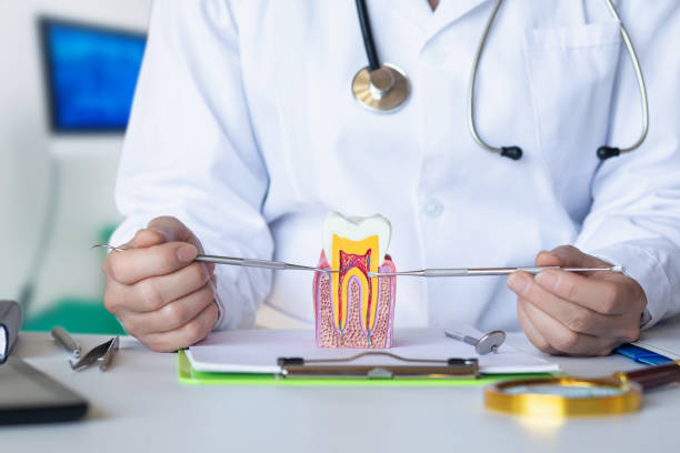 Best Emergency Dental Care for Broken or Chipped Teeth in Verona, WI